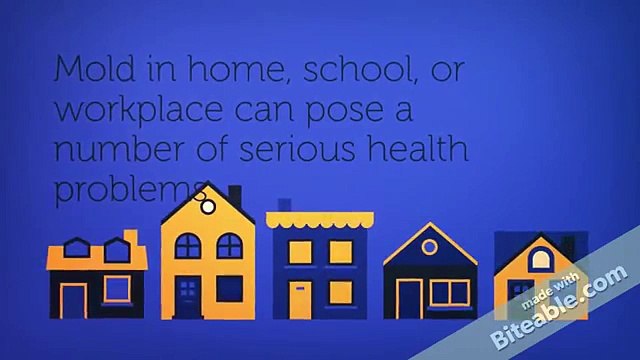 Certified Mold Testing Service Provider | Denver Colorado