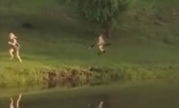 Une oie se venge d'une petite fille qui les ennuie !