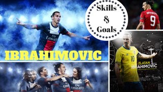 Zlatan Ibrahimovic - Crazy Skills & Goals
