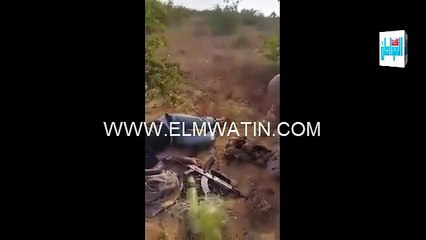 احد عمليات الجيش في سيناء مباشر