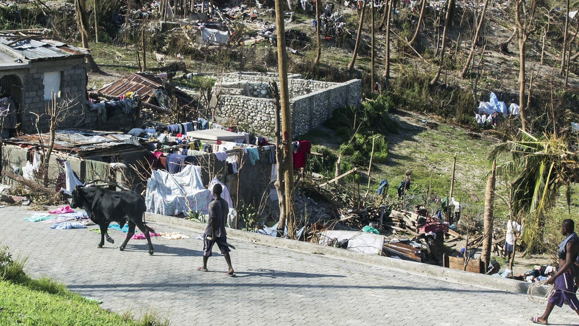 INSTANTANE  : Haiti