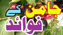 Jaman Khane Ke Fawaid In Urdu / Hindi | Benefits Of Jamun in Urdu / Hindi