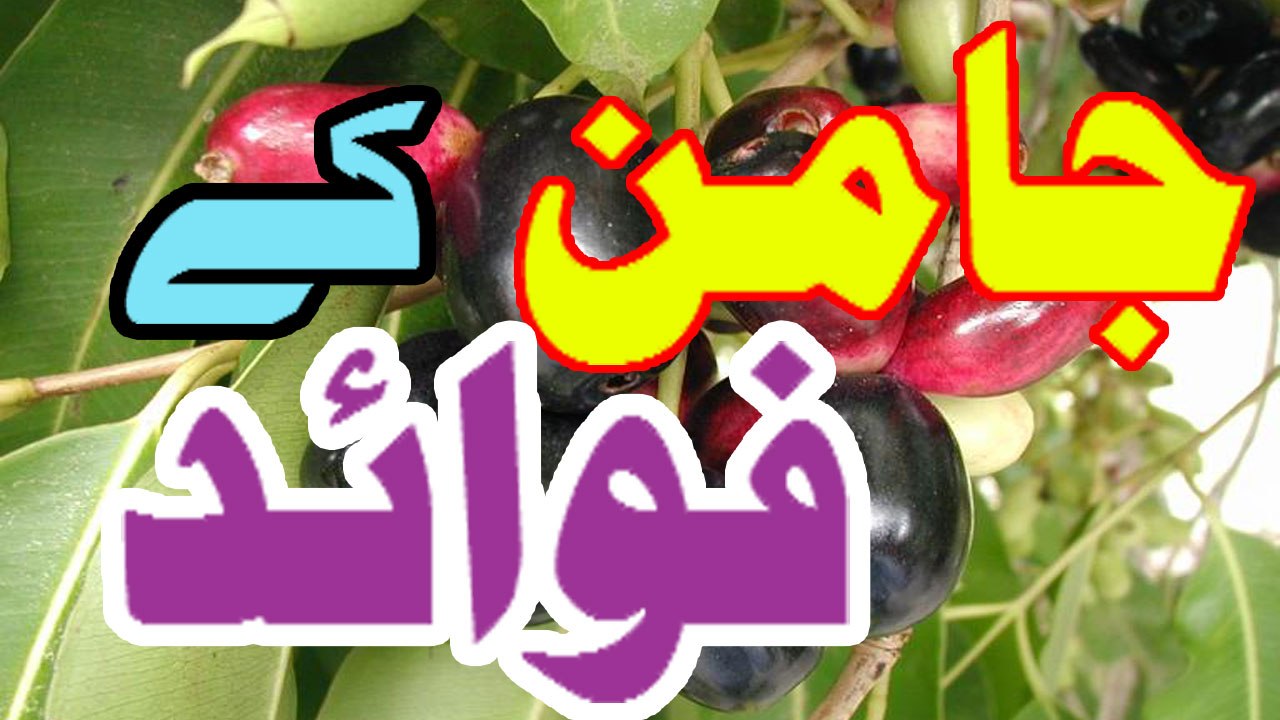 Jaman Khane Ke Fawaid In Urdu / Hindi | Benefits Of Jamun in Urdu / Hindi