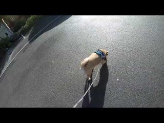 Guy Gets GoPro, Is Disappointed at How Non-Extreme His Life Is