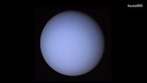 Uranus May Have Two More Moons Within its Rings