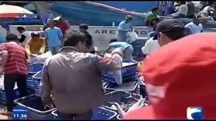 Reklamasi Teluk Jakarta Dilanjutkan