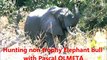 Choquant : Pascal Olmeta tue un éléphant lors d'un safari