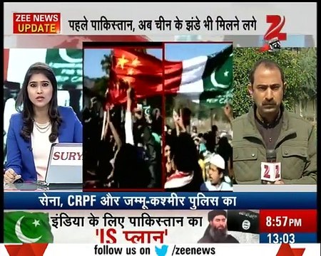 Pakistani and Chinese Flags in India Created Panic For Entire Nation