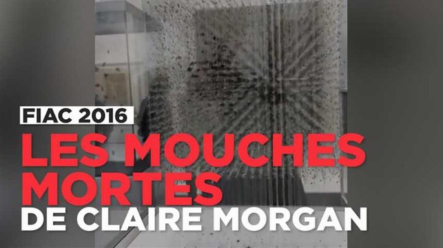 FIAC : Découvrez les mouches mortes de l'irlandaise Claire Morgan