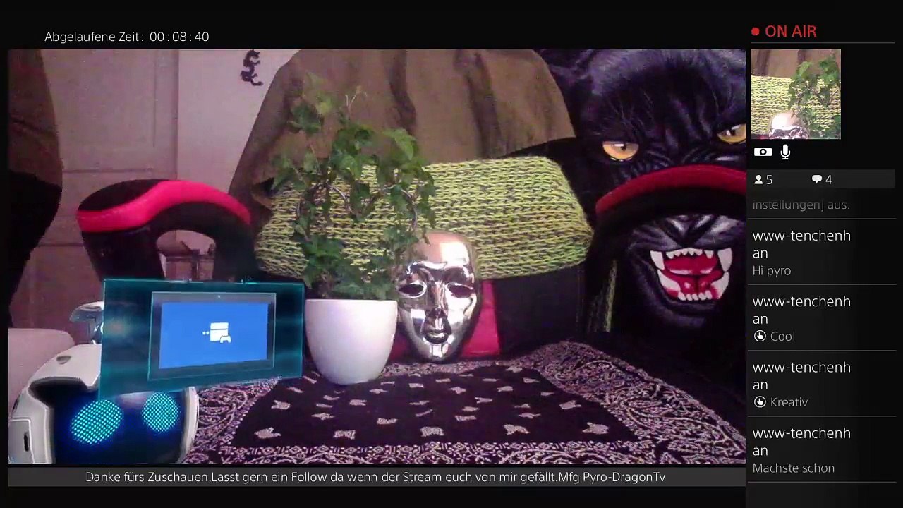 GER/Pyro-DragonTv Reaggemusik und LED Show bis 20 Uhr (49)