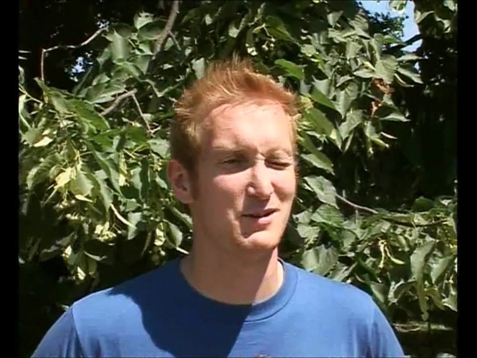 Late Knights #02 - Wir fragen Minderheiten antworten #2 - Männer