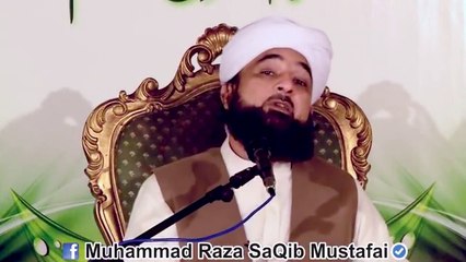 Islam Or Aman Alam