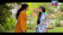 Haal-e-Dil - Episode 26 on Ary Zindagi in High Quality 19th October 2016