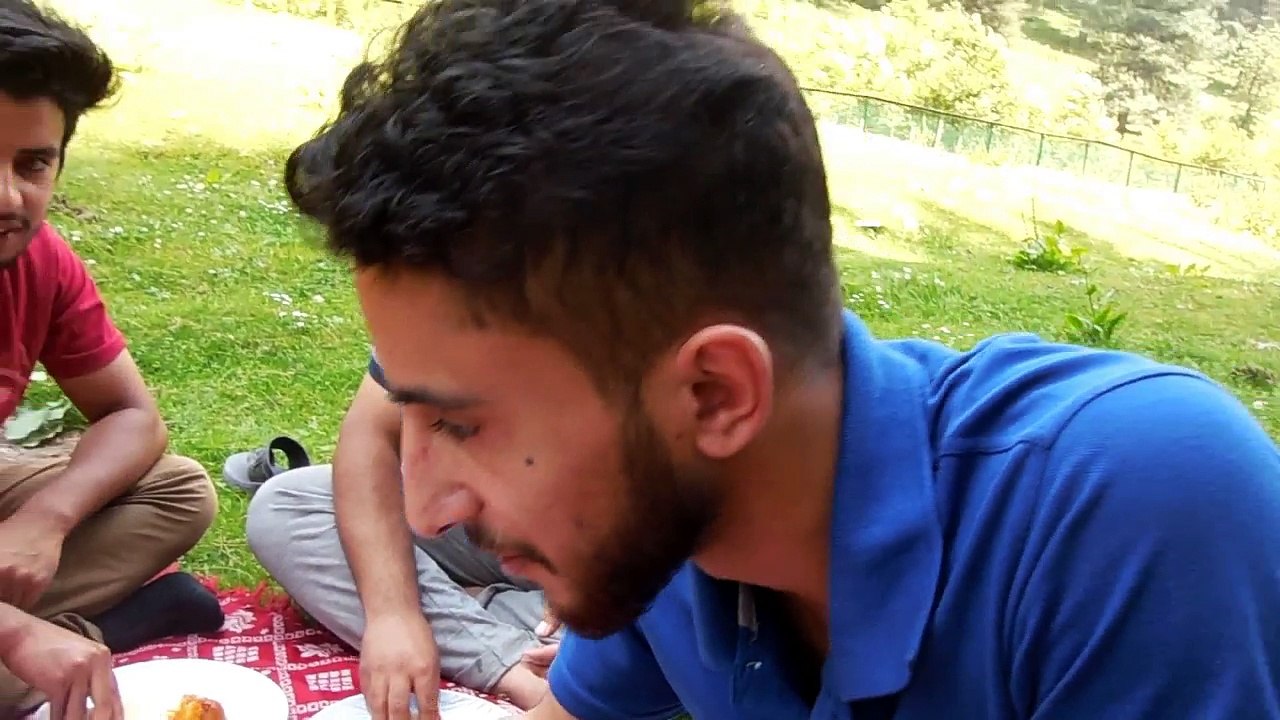 Kashmir Diaries