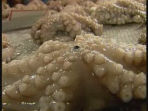 grèce, les halles d'athènes...