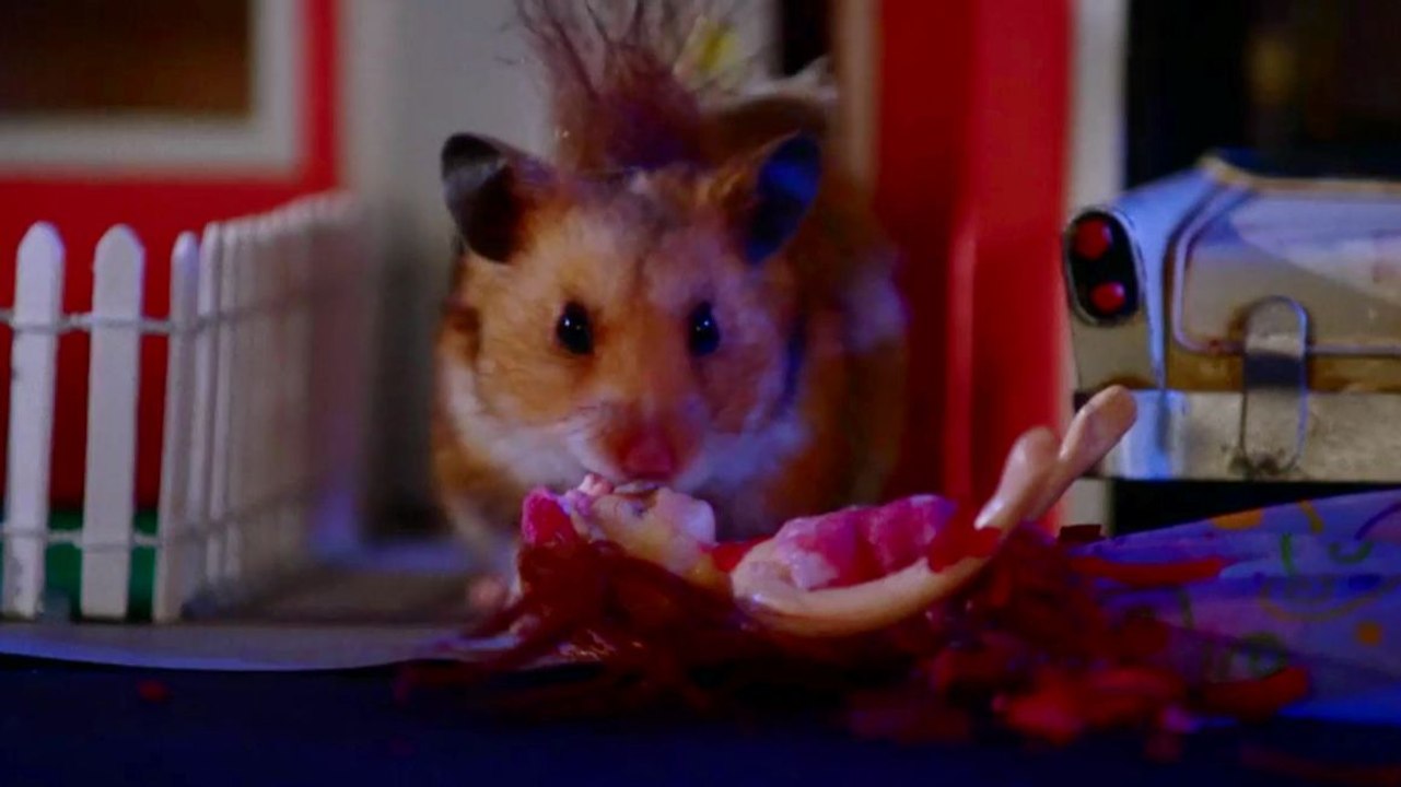 Des hamsters zombies