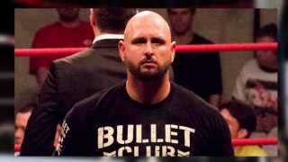 Karl Anderson Buried by Big Cass? James Ellsworth WWE Merchandise | Wrestling Report