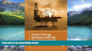 Books to Read  China s Energy Relations with the Developing World  Best Seller Books Best Seller