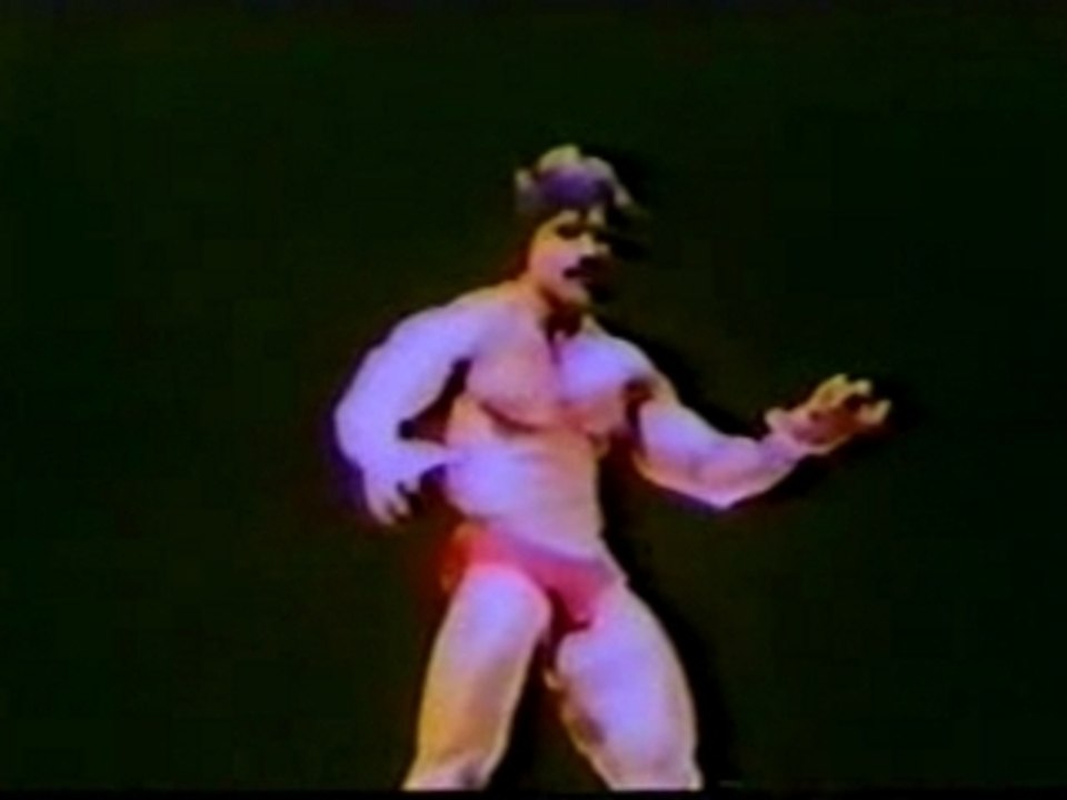 MR. OLYMPIA 1977