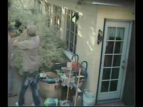 Men posing as tree trimmers gain access to homeowner’s backyard