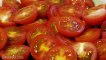 Cette astuce de ouf que vous auriez voulu connaitre avant ! Comment couper toutes vos tomates cerise en 1 fois !
