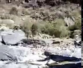 Hahahaha very funny must watch