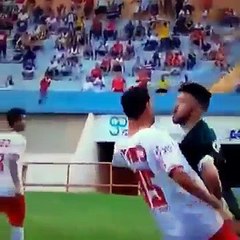 Palme d'or pour la meilleure simulation de football