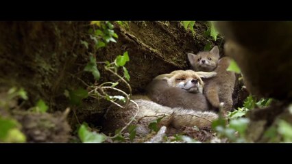 Les Saisons - Teaser Officiel HD