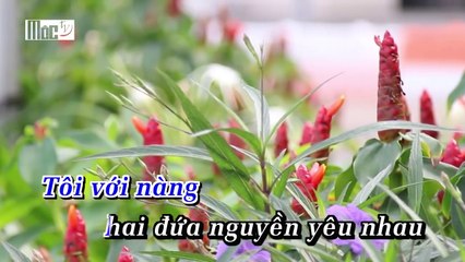 Karaoke Áo Em Chưa Mặc Một Lần Đan Nguyên Beat