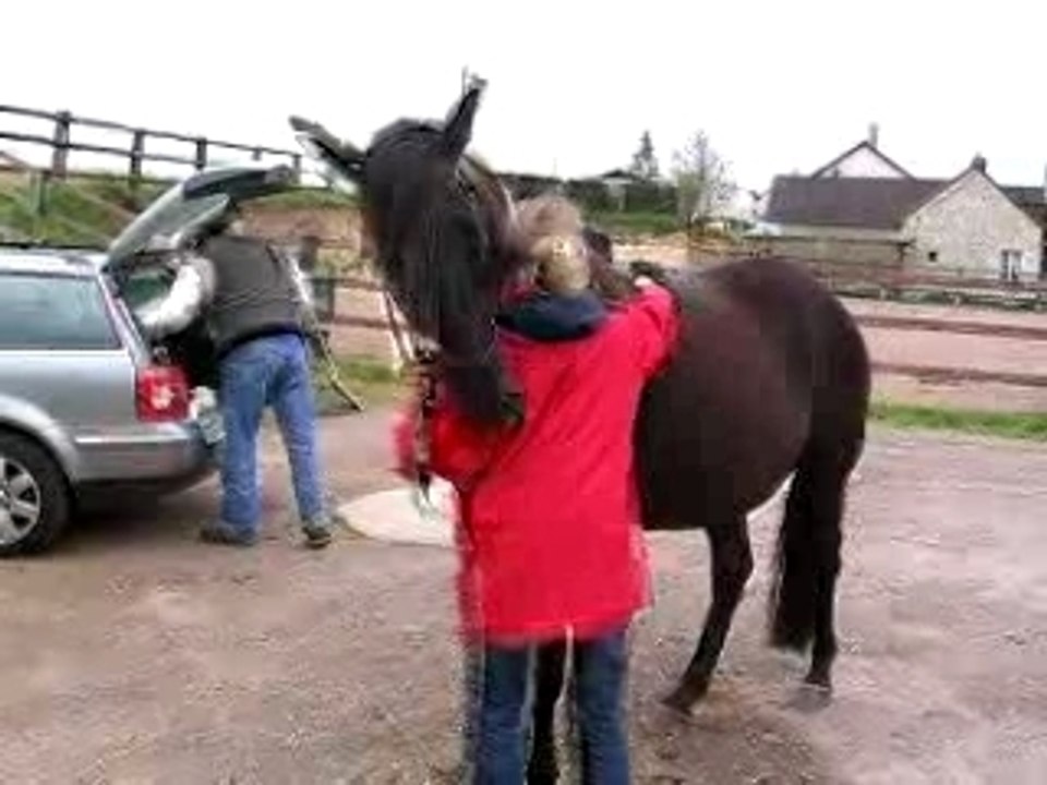 Aurore me gratouillait /2005