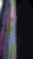 Les policiers charentais manifestent leur ras-le-bol