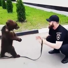 Un ourson s'amuse avec un humain