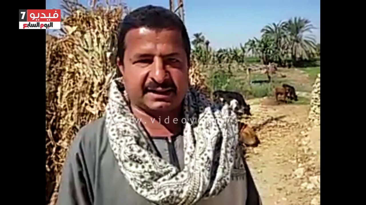 بالفيديو.. أهالى دير الحديد ببنى سويف يطالبون بإنشاء مدرسة إعدادى