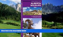 Big Deals  Alberta Wildlife: A Folding Pocket Guide to Familiar Species (Pocket Naturalist Guide