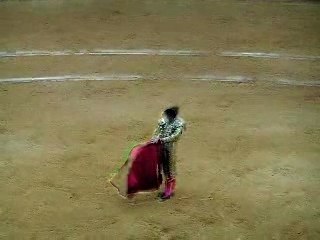 Jose tomas san sebastian 2007 (muleta 1er)