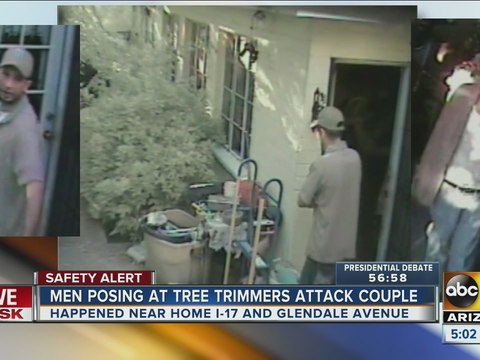 Men pose as tree trimmers in Glendale