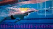 Backstroke swimming technique _ Rotation _ Swim faster-KI_suSO8sEA