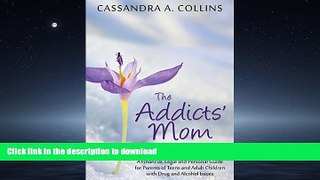 READ THE NEW BOOK The Addicts  Mom: A Survival Guide: A Financial, Legal and Personal Guide for