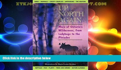 Big Deals  Up North Again: More of Ontario s Wilderness, from Ladybugs to the Pleiades  Full Read