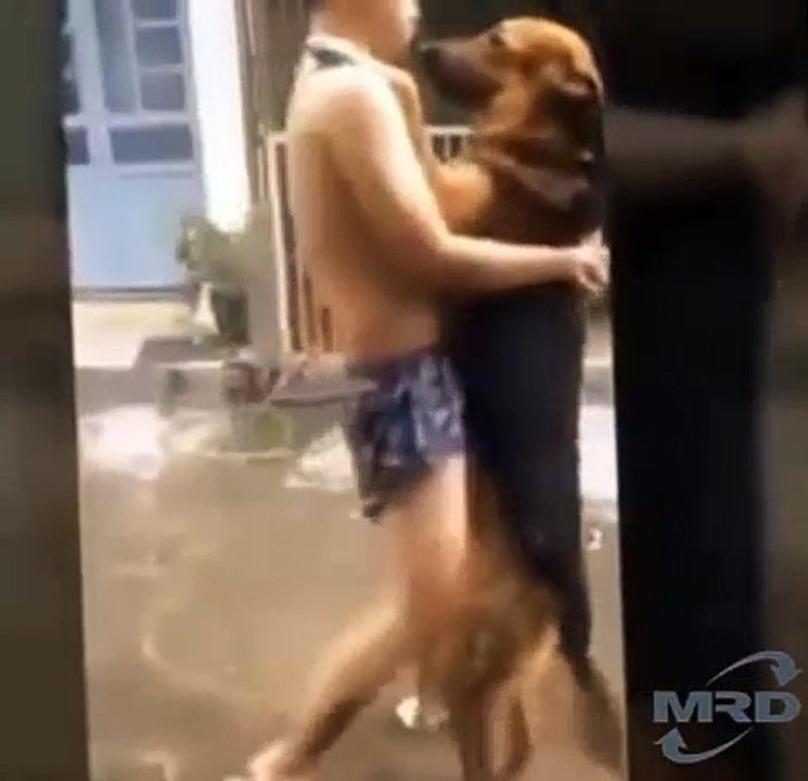 How to Teach Your Dog to Dance/ Funny Dogs Dancing Compilation | Dog Tricks