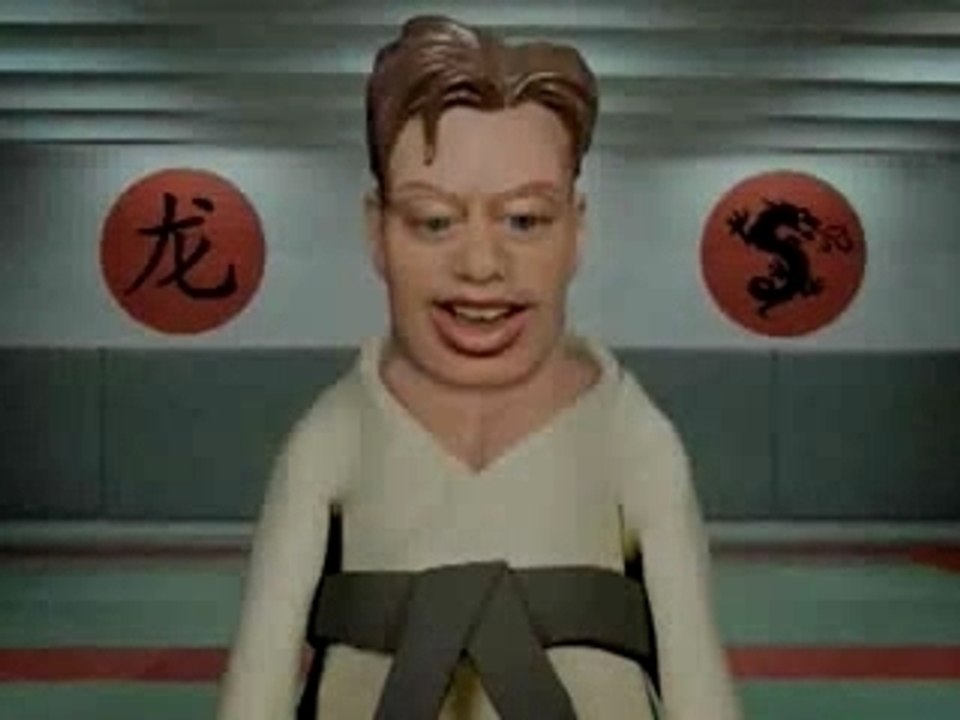 Capitaine kung fu