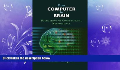 Online eBook From Computer to Brain: Foundations of Computational Neuroscience