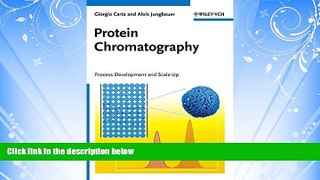 Online eBook Protein Chromatography: Process Development and Scale-Up