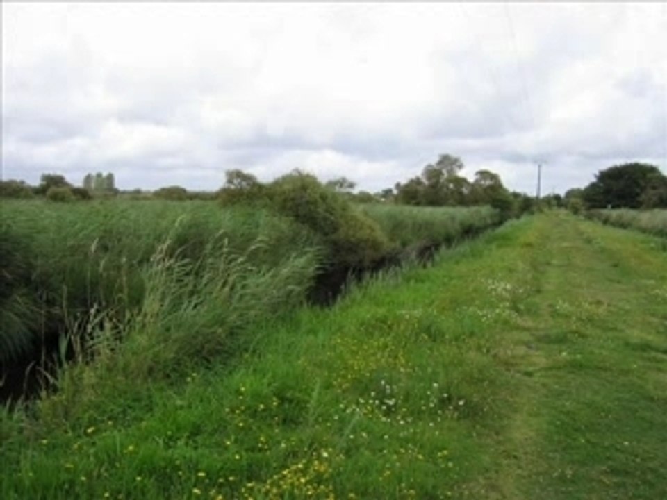 Un été en Brière_0001