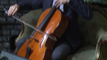 Un album de musique spécialement créé... pour les chats