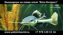 Океанариум на пляже отеля «Ялта-Интурист»