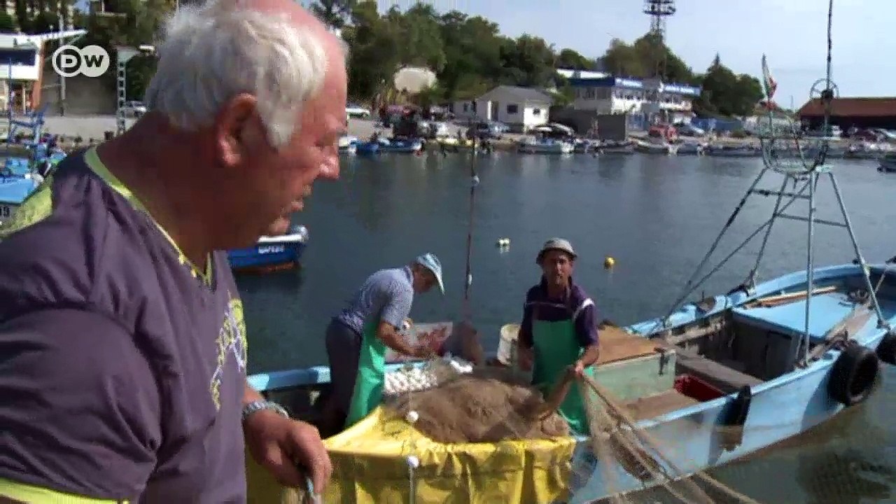 Gefährliche fischnetze in bulgarien | fokus europa