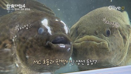 [예고] 역대급 스케일의 바다진미 일품식재료 총출동!