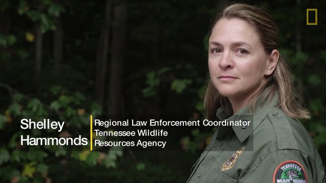 Fighting Wildlife Crime: Poaching Is Stealing From All of Us. | National Geographic