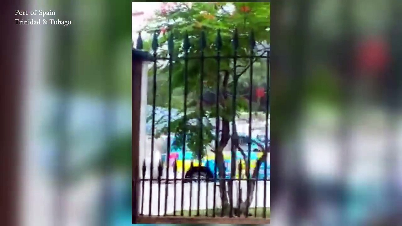 RAW VIDEO: Prisoner Shootout with police Port of Spain, Trinidad